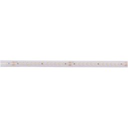 Deko Light Long Run 840398 Ruban LED CEE: F (A - G) avec câble à extrémités ouvertes 48 V 15 m blanc neutre 1 pc(s)