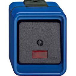 Merten complet Interrupteur avec témoin lumineux bleu 372675 1 pc(s)