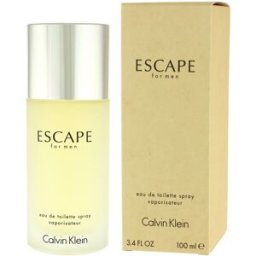 Calvin Klein Escape for Men Eau de Toilette (Homme) 100 ml