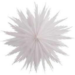 Watt & Veke Étoile de l'avent Liz Ø50 cm White