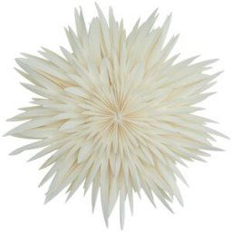 Watt & Veke Étoile de l'avent Maja Ø50 cm White