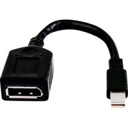 HP 2MY05AA Mini-Display / DisplayPort Adaptateur [1x Mini port Display mâle - 1x DisplayPort femelle]