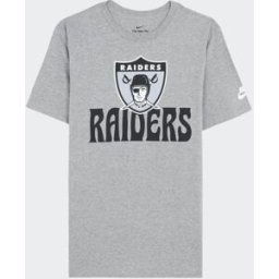 Nike Nfl - T-shirt - Taille M Gris M male