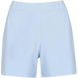 Nike Flex Victory 5 Golf Shorts Ladies Z BRUME 8 (XS) Female