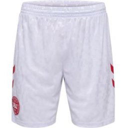 Hummel Denmark Home Shorts 2024 Adults Blanc/Rouge Moyen Male