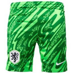 Nike Netherlands Away Shorts 2024 Juniors Étincelle verte 9-10 (M) Male