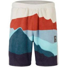 Canterbury British And Irish Lions 2024 Outback Shorts Adults Journée pluvieuse S Male