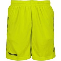 Hummel Goalkeeper Top And Short Set Adults Soirée Prémisse Moyen Unisex