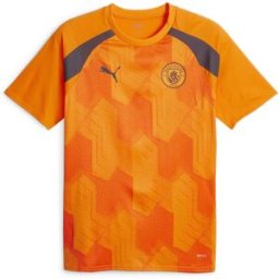 Puma Manchester City Pre Match Shirt 2023 2024 Adults Orange/Gris 2XL Male