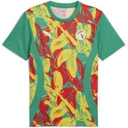 Puma Senegal Pre Match Shirt 2025 Adults Vert/Jaune 2XL Male
