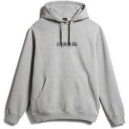 Napapijri Box Logo Hoodie Gris 2XL Male