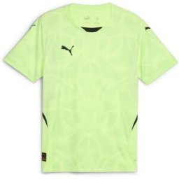 Puma Goalkeeper Short Sleeve Shirt Adults Vert XL Male