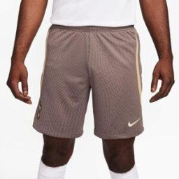 Nike Tottenham Hotspur Strike Shorts Adults Ironstone/Grass L Male