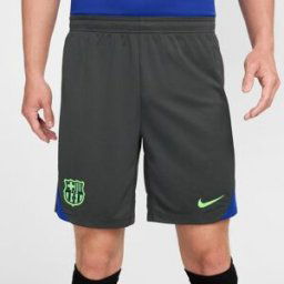 Nike Barcelona Strike Third Shorts Adults Gris L Male