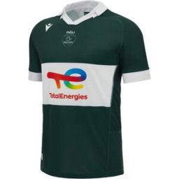 Macron Section Paloise Home Shirt 2023 2024 Adults Vert Grand Male