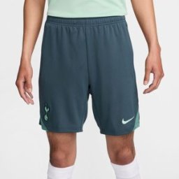 Nike Tottenham Hotspur Third Strike Shorts 2024 2025 Adults Gris 2XL Male