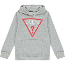 Guess Triangle Logo Oth Hoodie Gris LHY 16 ans Male