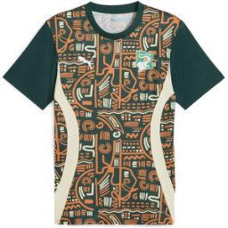 Puma Ivory Coast Pre Match Shirt 2025 Adults Myrte/Orange 2XL Male