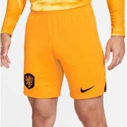 Nike Netherlands 2022 Stadium Home Adults Orange L Male