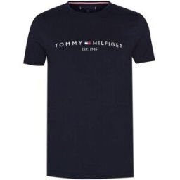 Tommy Hilfiger Logo Crew Neck T Shirt Sky Captain 403 L Male