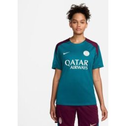 Nike Paris Saint Germain Strike Top 2024 2025 Adults Vert M Male