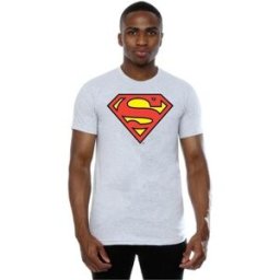 T-shirt Dc Comics BI21273 Gris