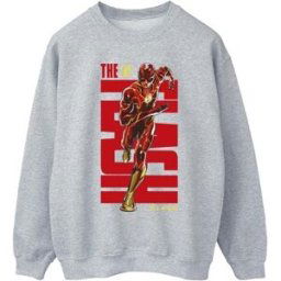 Sweat-shirt Dc Comics BI47253 Gris