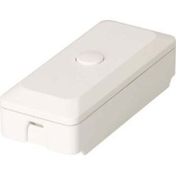 Max Hauri Variateur à fil blanc Puissance de coupure (max.) 100 W 1 pc(s)