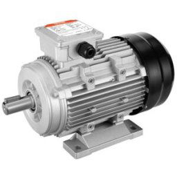 VEVOR Moteur 2,2kW 2890tr/min CA 400V 50Hz 4,7A triphasé arbre à clavette 24mm