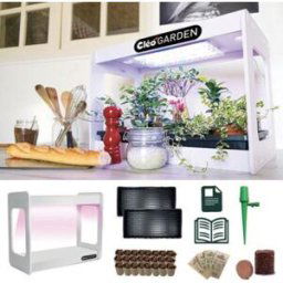 Cleopatre Kit Maison verte autonome Cléopatre + le Kit recharge 1 culture pour le cycle scolaire 2+F264