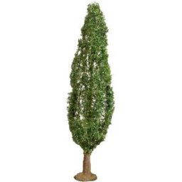 NOCH 20130 Arbre peuplier 180 mm 1 pc(s)