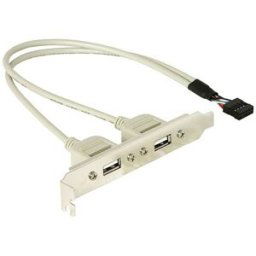 Delock Slotbracket 1x internal USB 5pin > 2x USB2.0 external Equerre de slot 1 pc(s)