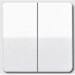 Jung simple Cache Interrupteur pour gamme, Bouton-poussoir pour gamme blanc-alpin CD595WW 1 pc(s)