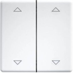 DW-FT55-rw+2P Eltako Interrupteur à bascule double