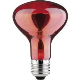 Paulmann Ampoule infrarouge E27 60 W (Ø x L) 80 mm x 115 mm 230 V 1 pc(s)