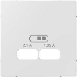 Merten Cache System M blanc polaire MEG4367-0325 1 pc(s)