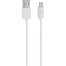 RealPower Câble USB USB 2.0 USB-A mâle, Connecteur Lightning 1.00 m blanc 255649