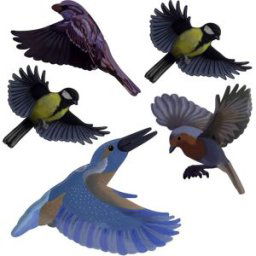 Autocollant de fenêtre doiseau Gardigo Stickers Native Birds Type de fonctions effet dissuasif 1 pc(s)