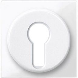 Merten Cache System M blanc polaire 319519 1 pc(s)