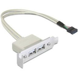 Delock 0.5m Slotblech USB 2.0 Equerre de slot 1 pc(s)