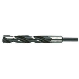 C.K T3035 12 Foret pour le bois 12 mm Longueur totale 151 mm tige cylindrique 1 pc(s)