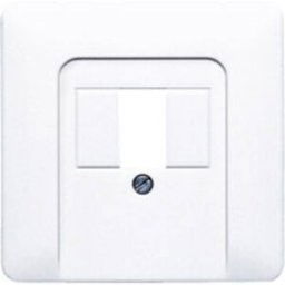 Jung simple Cache Prise TAE blanc-alpin CD569TWW 1 pc(s)