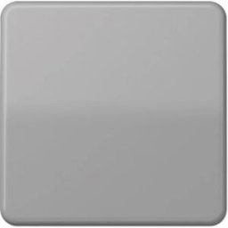 Jung simple Cache Interrupteur va-et-vient, Bouton-poussoir gris CD590GR 1 pc(s)