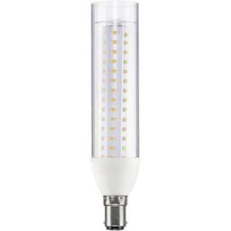 Paulmann 28889 LED CEE E (A - G) B15d forme de tube 9.5 W = 75 W blanc chaud (Ø x H) 36 mm x 165 mm 1 pc(s)