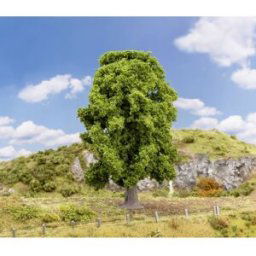 Faller 181573 Arbre chêne 180 mm 1 pc(s)