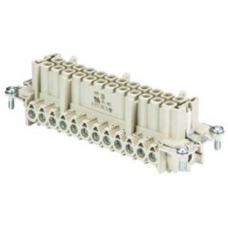 Wieland Electric 70.300.2440.0 Insert femelle BAS Nombre total de pôles 24 + PE 1 pc(s)