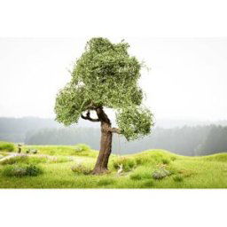 NOCH 21768 Arbre chêne 150 mm 1 pc(s)