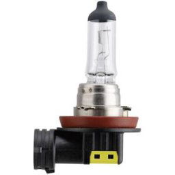 Ampoule halogène Philips Automotive 36428630 Vision H11 55 W 1 pc(s)