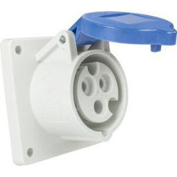 AS Schwabe 60480 Prise femelle CEE 16 A 230 V 1 pc(s)