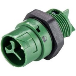 Wieland Electric 46.032.5055.7 Cosse cylindrique mâle embase mâle Nombre total de pôles: 2 + PE Série (connecteur rond): RST® MINI 1 pc(s)